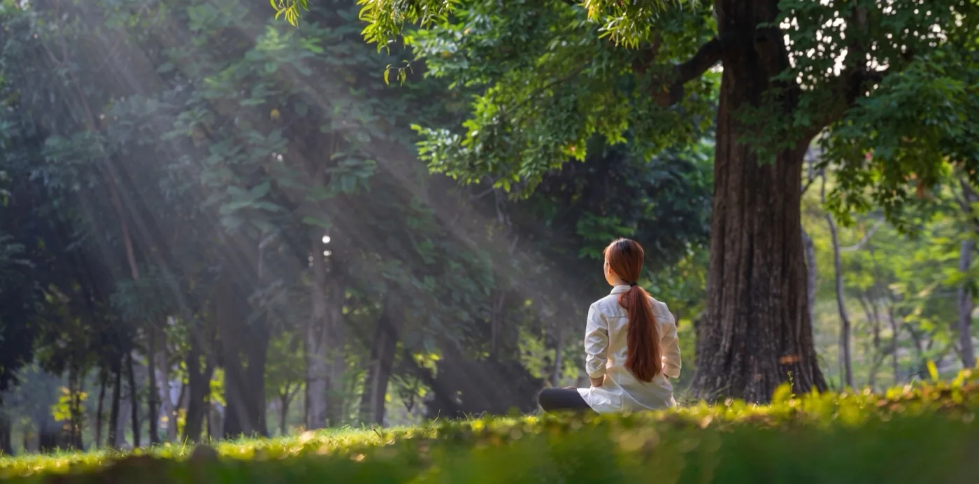 A woman meditating beneath a tree in morning light